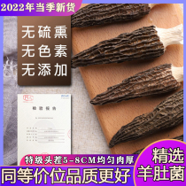 2022 Goat Belly Fungus New Dry Goods 500g Special Grade Yunnan Head Stubble Fresh Goat Belly Mushrooms Saucepan to give people special production of saucepan soup