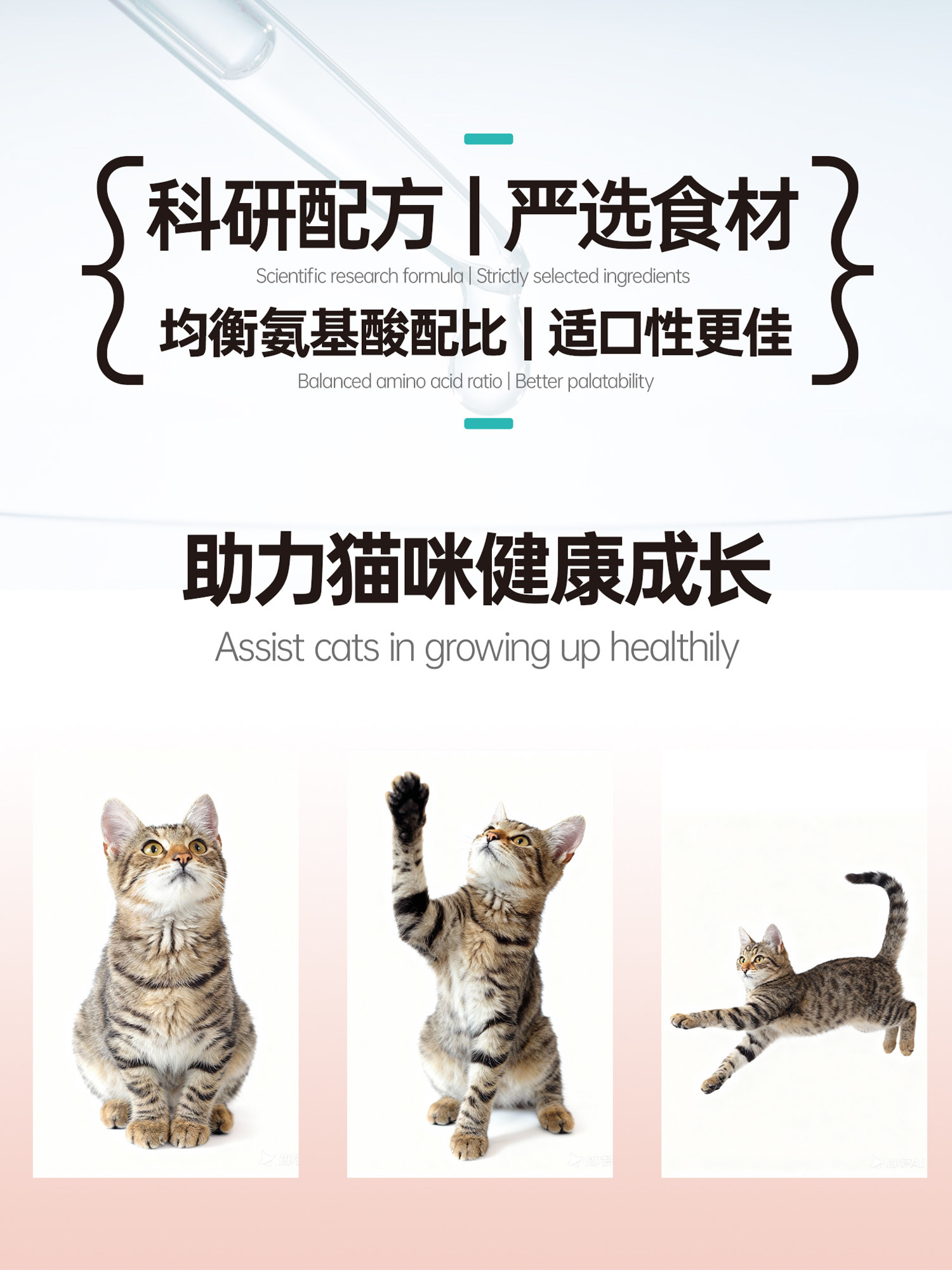 Youqu Adult Cat and Kitten Food 1.5kg 3kg Natural 10 British Shorthair Blue Cat Cod Flavor Complete Food