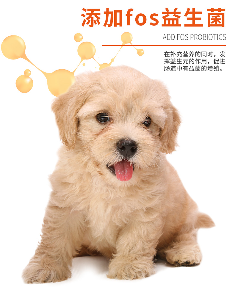Chó con nguyên con thức ăn trứng lòng đỏ trứng sữa sữa vắt sữa sữa thức ăn cho chó loại chung chung 3 kg quà tặng sau tổng cộng 6 kg vừa và nhỏ - Chó Staples thức ăn cho chó mang thai