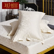 Series chính hãng bông gối bông gối trơn đơn Double Single nạp vào nguồn cung cấp 48X74cm - Gối trường hợp