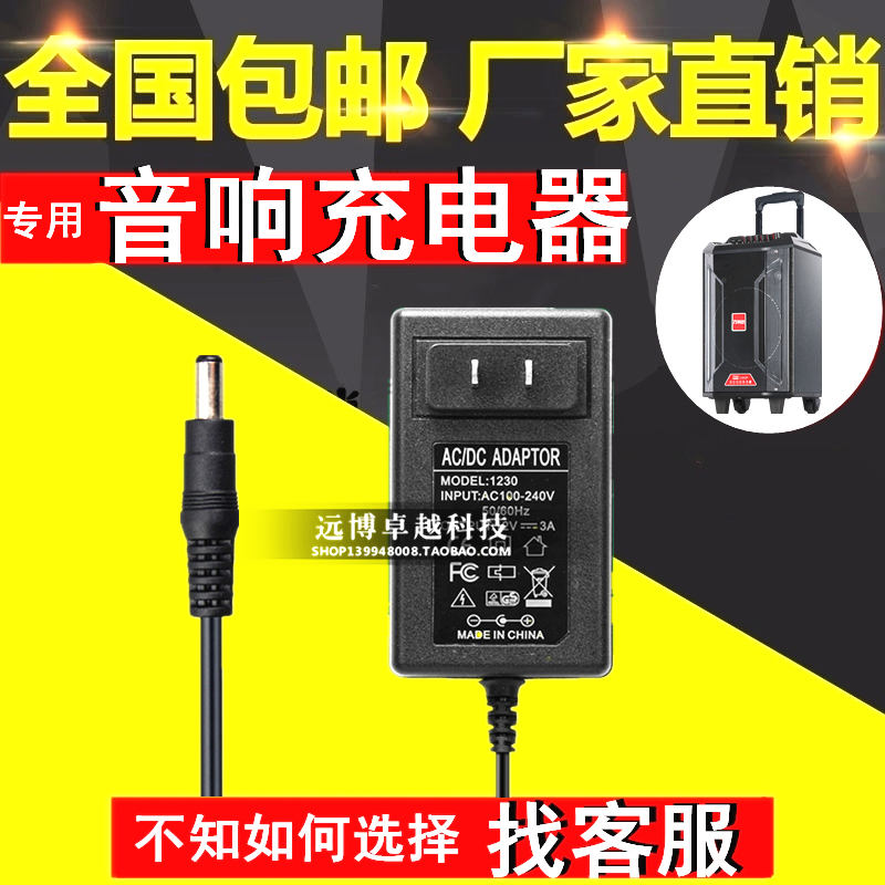 9V audio charger line universal 15v2a mobile square dance tie rod speaker 13.5V power adapter 14