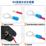 Европейский стиль RV1.25-3,2 Круглая клемма холодного давления 2/3,5/5,5/4/5/6/8/10/12S Предоседание медная нос медь