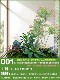 Simulated Landscaping Plants for Indoor and Outdoor Window Displays, Plant Arrangement under Stairs, Simulated Landscaping
