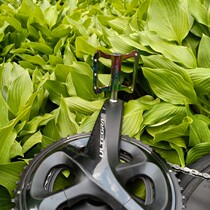 ut tooth plate e-ink tea history Baidu turn