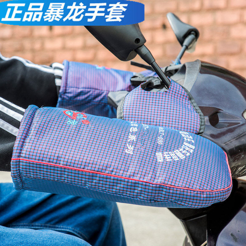 Tyrannosaur electric car gloves for motorcycle warm-up gloves for men and women in winter wind-proof gloves cycling