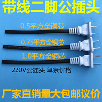 Monitoring 2-hole female plug with wire Two-pin male plug waterproof box power plug integrated 220V power plug cable