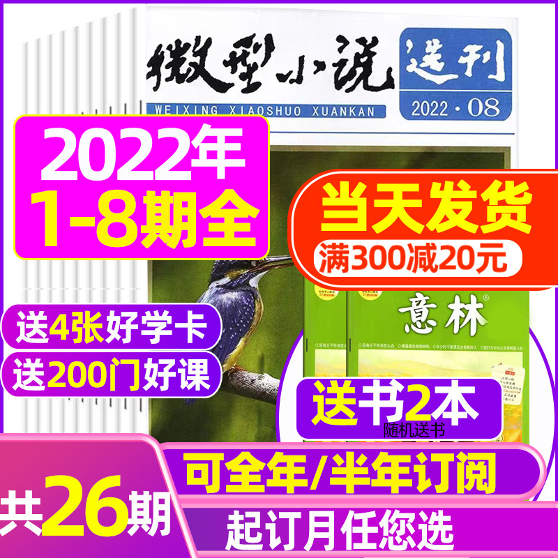 1-8 Issue of Spot (year-round semi-annual subscription to 2 books) Microfiction Elects Magazine 2022 1-12 2021 Packaging Short Fiction Original Story Unsubscribe Literature Overdue