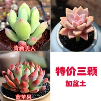 3 Специальное предложение