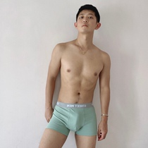 Mr. Afly-mens sexy briefs flat angle pants midway pants head minimalist thread cotton cotton quilts four-corner pants casual