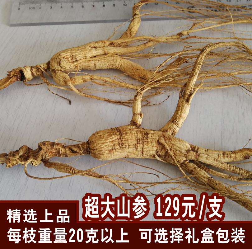 San's Changbai Mountain Tohoku Special production wild forest Next ginseng Ginseng Transfer Mega 15 Years Single-branch 20 gr gift box Dry Bubble-Taobao