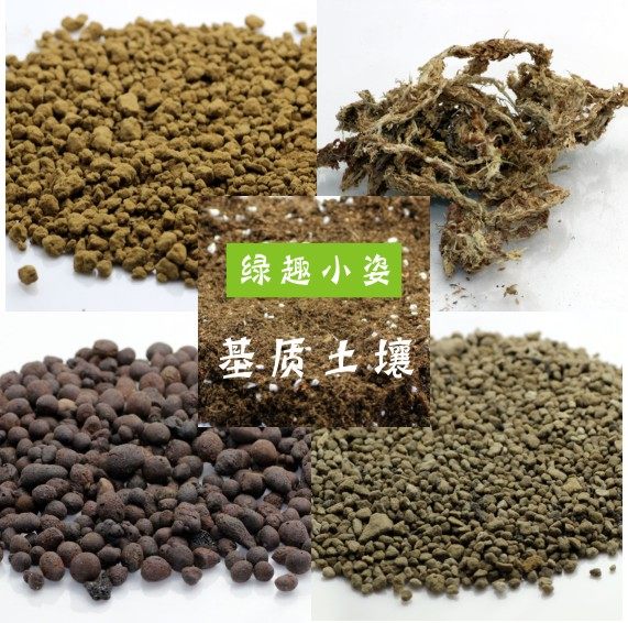 Material bag Nutritional peat soil Ceramics Light peat moss and meat - polythed crystal DIY plant microlandscape moss bottle