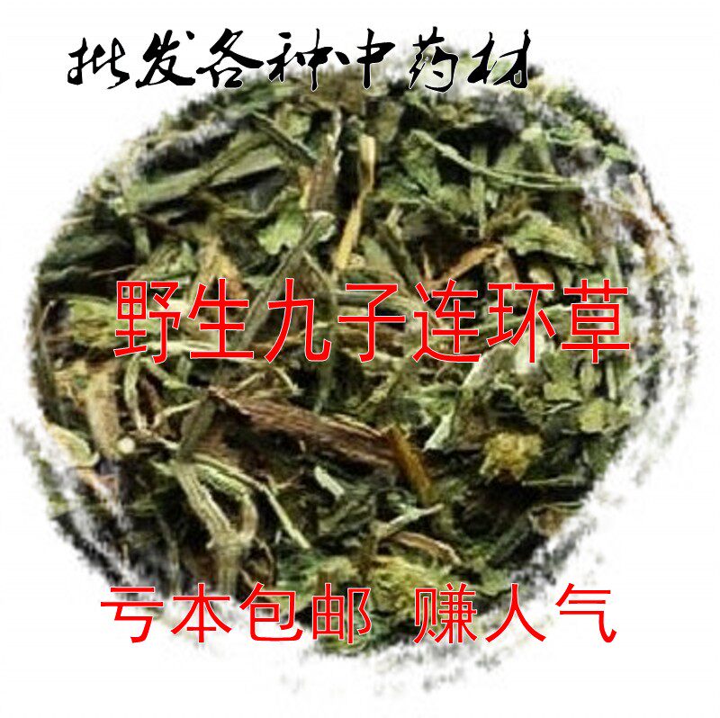 Cold back Chinese herbal medicine Jiuzi Serial Grass Hard Nine Heads Lions Grass Meat Serial Nine Arthropods 500 gr-Taobao