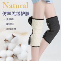 Winter electric car knee brace cold warm and thick female motorcycle knee windproof male riding leg protection windshield artifact