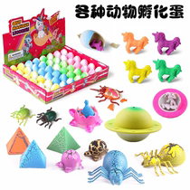 Bubble water hatching animal eggs turtle spider beetle small toy creative weird children funny tremble toy