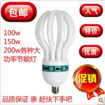 Big 5U lotus lamp bergamot lamp 125W high power Lotus energy-saving lamp pipe diameter 17 5 National