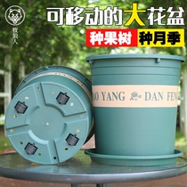 Thickened 7 gallon pot King size 38cm flower pot Plastic resin planting tree green plant seasonal fruit tree Removable flower pot