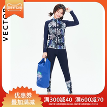 VECTOR diving suit female sunscreen swimsuit split long sleeve jellyfish coat snorkeling equipment warm belly surf suit