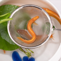 Tool fish eat stool fish ornamental fish fry cold water fish goldfish live fish resistant to raise garbage fish clean golden Loach