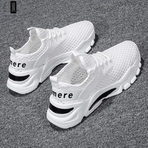 Summer breathable mesh Noodles Shoes Men 2022 New thick bottom thin mens small white shoes Trend casual 100 lap old daddy shoes