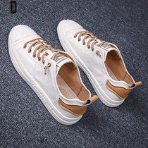 Shoes Mens wave shoes 2022 Spring new small white shoes Korean version 100 hitch-style men genuine leather breathable casual shoes
