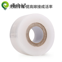 Plant grafting garden with coated fruit trees special tree self-adhesive glutinous rice paper tree winding film tool new type