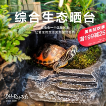 New turtle grass turtle Brazilian tortoise drying platform turtle planting sun back table climbing ladder climbing platform to avoid green planting moss turtle jar