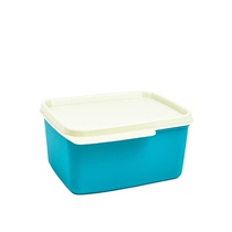 Tupperware 2 5L 500ML colorful fresh-keeping square box refrigerator refrigerated storage box vegetable and fruit fresh storage