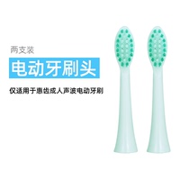 Electric Toothbrush Toothpaste H2ofloss Electric Toothbrush Accessories (2pcs)