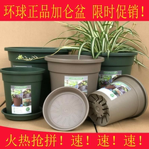 Global second generation gallon pot PP resin plastic fleshy green flower pot Jiangsu Zhejiang Shanghai Anhui 18 yuan