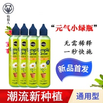 Mele Tree Small Green Bottle Plant Free Of Dilution Nutrient Solution Home Flower Fertiliser Potted Universal Green Roe Compound Fertilizer