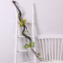 View Tree Vine rainforest Jar View Tree Vine Reptile for a view of a crab cylinder Build View Climbing With Tree Vines