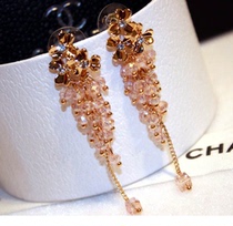 Korean European and American fashion exaggerated temperament flower earrings crystal earrings female long tassel earrings jewelry