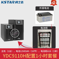 Costda UPS Power YDC9110H 1 hour package with 12V65Ah battery