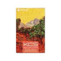 Korea Aekyung Famous Painting Soap (Silk Run) Daily AA