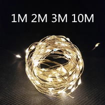 1m 2m 3m 10m Copper Wire Battery Box Garland LED Wedding Dec