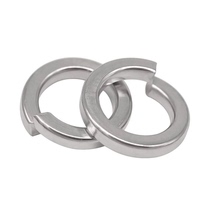 Stainless Steel Spring Washers M1 6-M36 Pellet Spacer Mesons 304316201 National Pets Dimensions GB93