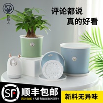 Shepherd Moonica Flower Pot Nordic Minimalist Plastic Resin Indoor Balcony Multi-Meat Green Loo Potted Round Flower Pot