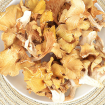 Wuyi Mountain Water Zhengzong Authentic Golden Mushrooms Dry Goods Wuyi Mountain Specii Mushrooms Golden Yellow Mountain Rare Mushrooms 100g