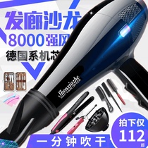 Hair dryer Household high-power quick-drying hair dryer 8000w blue light hair care negative ion mute constant temperature hair dryer