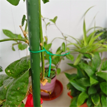 Flat gardening plastic-coated cable tie wire tie tie tie tie wire clematis tie strip shaping strip