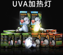 Climbing pet corner palace keeper giant monster lamp heating bulb insulation new product New listing EXO TARRA