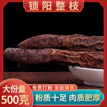 Golden Lock Yang Whole Chinese Herbal Medicine Sheet Powder Bubble Wine Material Male Nourishing Non-Wild Special Class Cistanche Llamin Wort non-tea water