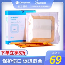 Colopo 3423 Baertan foam dressing Pressure sore medical large decubitus paste sterile application wound wound