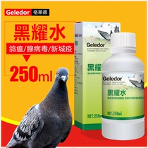Glade Black Dazzling Potion Pigeon Medicine Big Total Common Disease Newcastle Disease Spat Lathin Green Poo Flu Virus Dove Medicine