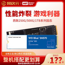 Western Black Disk SN770 Blue Disk SN570 120 240 250 480 500 G1T SSD SSD Solid State Drive