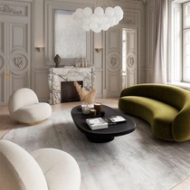 Curved Nordic sofa light luxury simple small apartment velvet living room sofa combination Villa homestay Net red wool roll