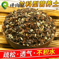 Orchid nutrient soil special planting plant orchid soil iron skin stone touch butterfly Clivia flower soil breathable substrate