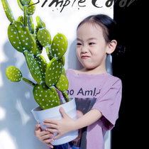 New simple potted childrens photography props simulation cactus plant wedding photography fashion personality shooting