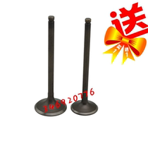 Suitable for shiyongy spring breeze big sheep boat 250 CH250 boat King valve group