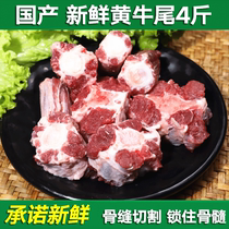 Authentic domestic oxtail fresh whole oxtail fresh with meat Childrens beef frozen oxtail bone 2kg